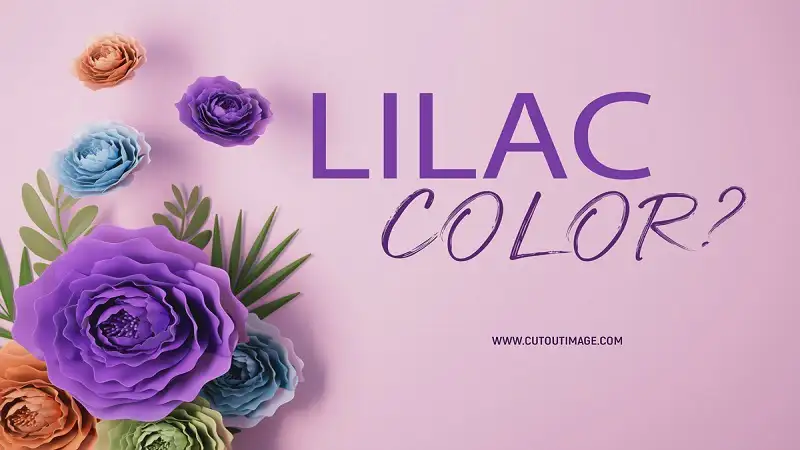 Exploring the “color:8dnohhkklmu= lilac”