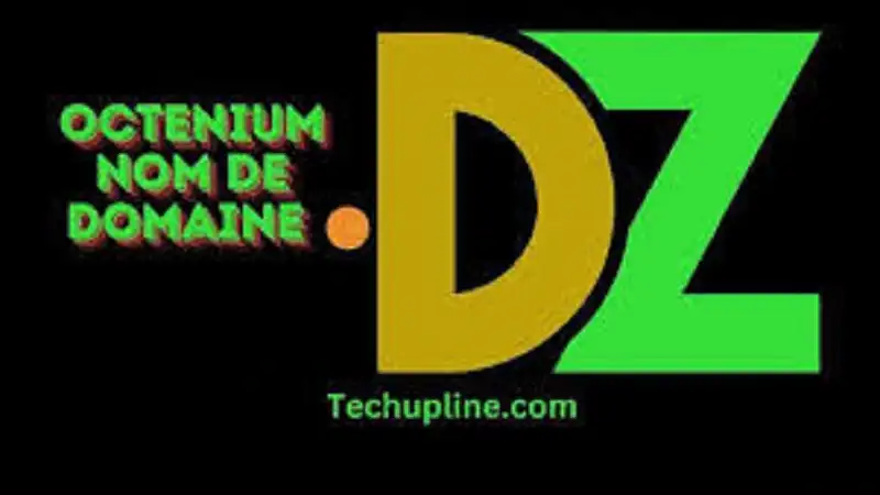 Octenium Nom de Domaine .dz: Registering Your Domain