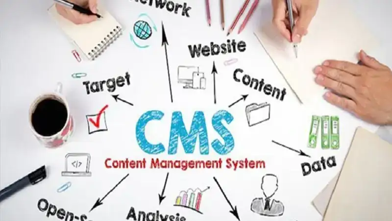 Exploring Contenupulse.online: Gateway to Content Management